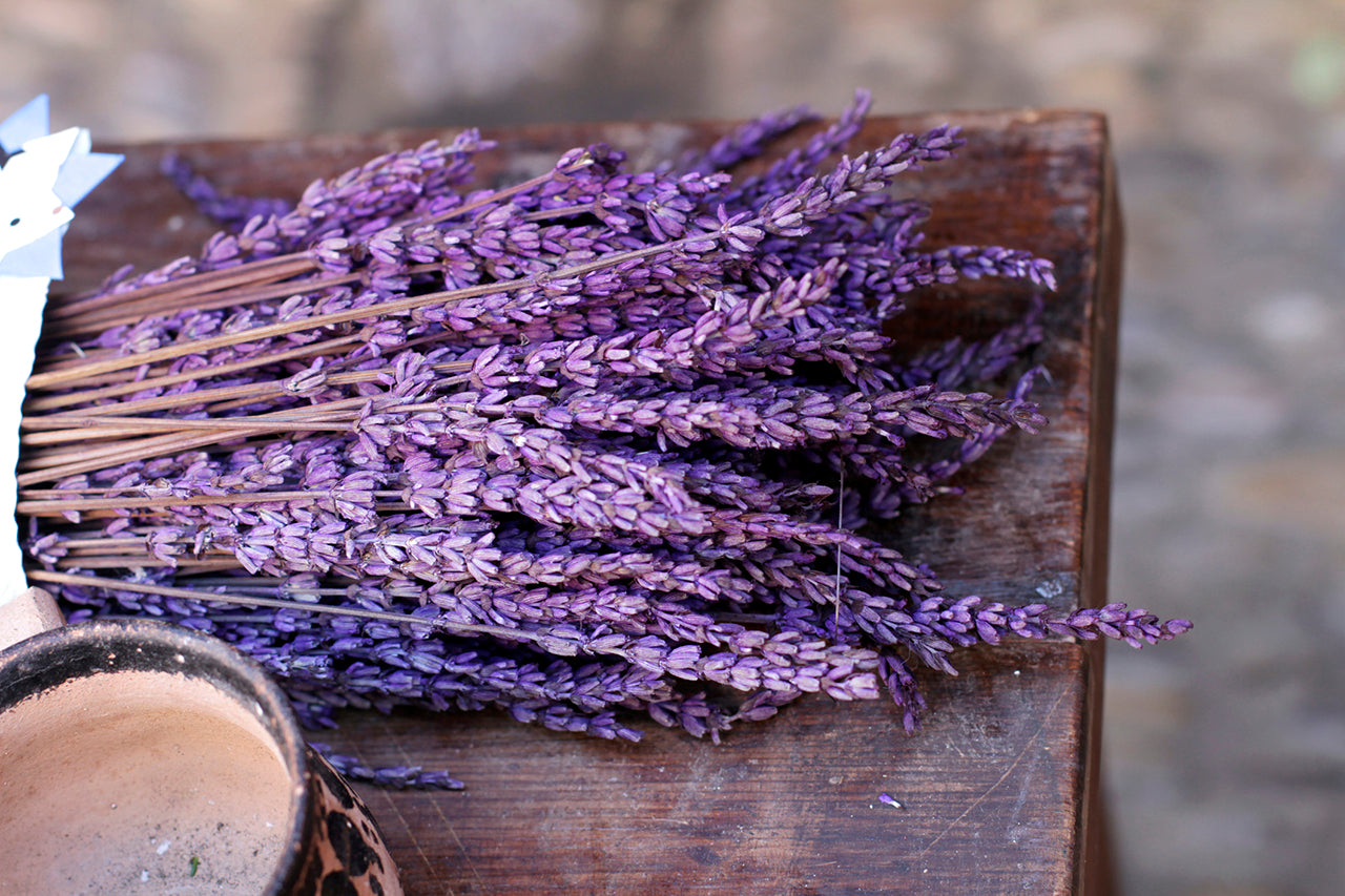 Lavender For Sore Muscles